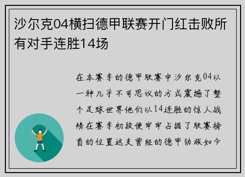 沙尔克04横扫德甲联赛开门红击败所有对手连胜14场