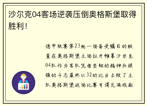 沙尔克04客场逆袭压倒奥格斯堡取得胜利！